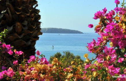 Nikoleta's Studios - Photo 21