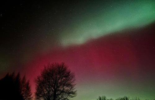 Kamienny Zakątek w Bieszczadach - Foto 39