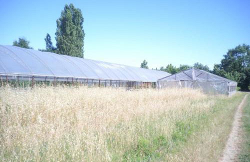 Pian del Pigro - Foto 27