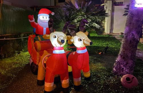 Lemon tree 400 mt dal mare - Foto 29