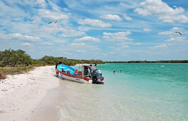 Paradiesische Tour: Las Coloradas Pink Lake und Rio Lagartos inklusive Mittagessen. - Foto 8
