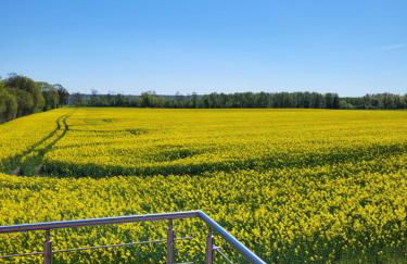 FEWOTRAUM-MÜRITZ - Foto 46