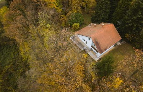 Old Chestnut Vacation Home - Foto 48