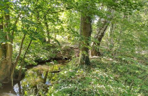 Holiday Home Itzinger by Interhome - Foto 29