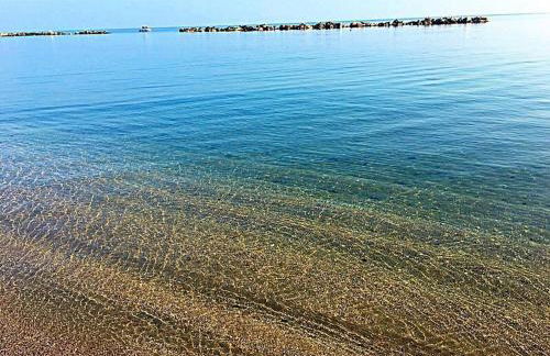 Stella di mare - Foto 28