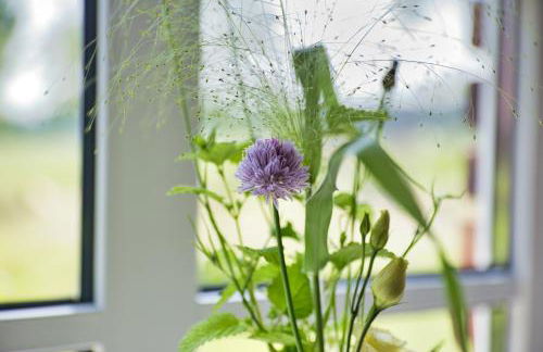 Bauernhofurlaub bei Familie Bokeloh - Foto 18
