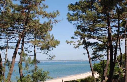 Pyla sur mer appartement terrasse a 100m de la plage - Foto 8