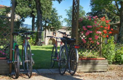Agriturismo Casa Agricola Rossi Appartamenti in Casentino - Foto 29