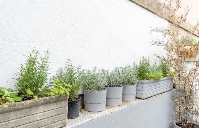 Appartements Centre Marseille - Foto 45