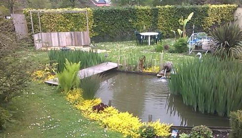 La Roseraie de Gamaches - Foto 2, Garden