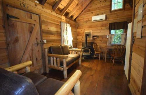 South Fork cabin at Cabin Fever in NC - Foto 21