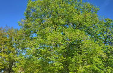 Gîte du Paradis Perdu - Foto 26