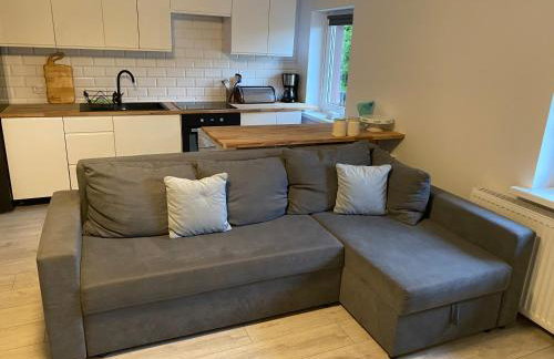 Apartament w malowniczej Sosnówce - Foto 1