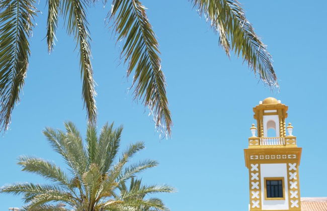 El Mirador 1 in Cadiz - Foto 27