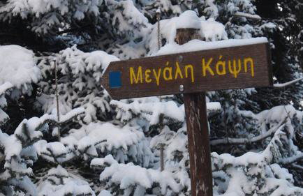 Livadaki Village - Δασικό Χωριό Λιβαδάκι - Foto 74