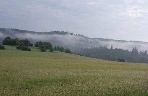 Holiday Apartment Haus Bodefurt - Apartment 2 - Foto 32