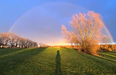 Deluxe Apartment im Grünen mit Balkon und Frühstück im Hotel Reindahls - Foto 17
