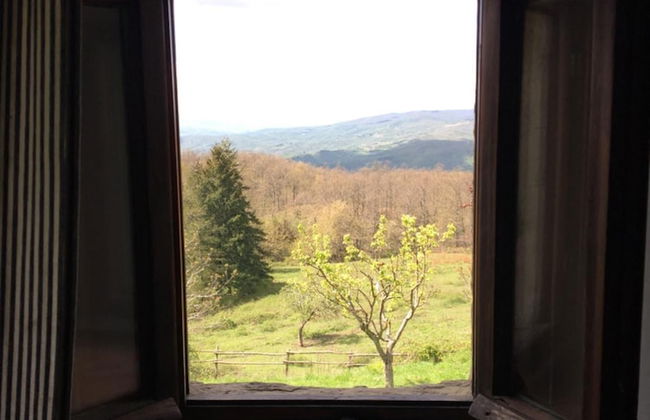 Agriturismo La Casina della Burraia - Photo 39