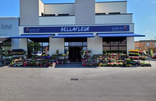 Appartement cosy près de Sceneo et Auchan au dessus du fleuriste Bellafleur - Foto 28