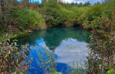 Propolis house - Foto 65