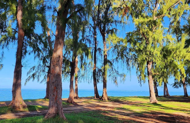 Phoenix Beach Apartments sea view - Photo 17