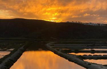 Herdade d'Amoreira Rosmaninho Studio - Foto 75