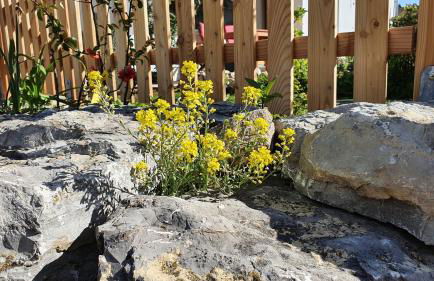 Traumhafte Gartenwohnung in Überlinger Hanglage - Zur goldenen Kiwi - Foto 13