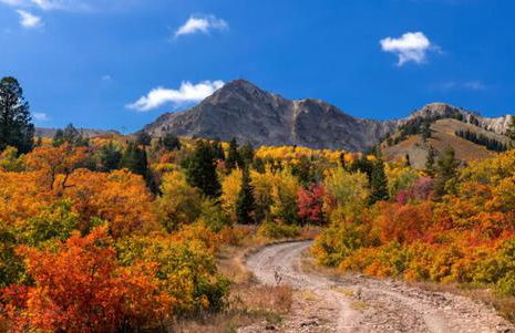 Wolf Creek Lodge Condo in Eden, UT - Relaxing Mountain Retreat - Foto 37