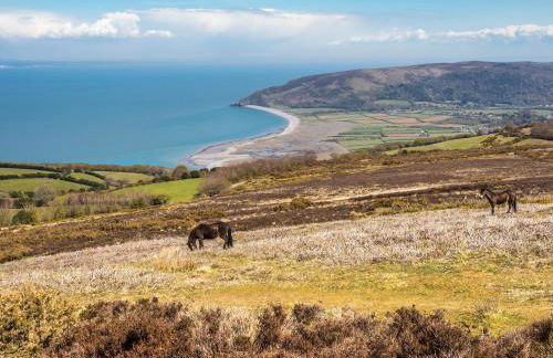 Seashells - Photo 12