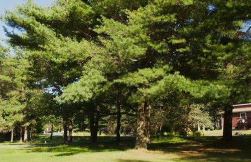 Cozy Pocono Home with a Hot Tub, Fire pit, Karaoke, Games and more! - Foto 28