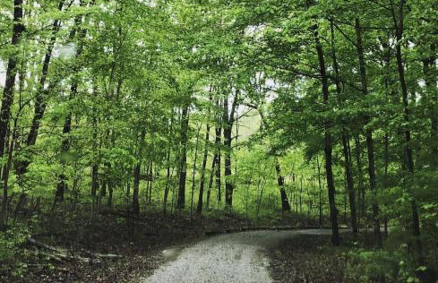 Breath of Heaven Cabin- Hot Tub, Deck, Pond, PETS - Foto 21