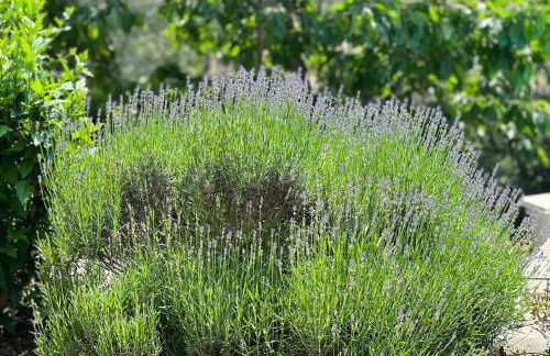 Casa San Tomè - Foto 30