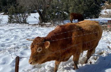 Casita Vista Alegre - Foto 64