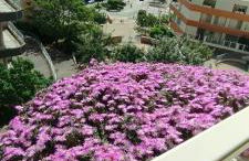 My Home Apartments - Foto 20