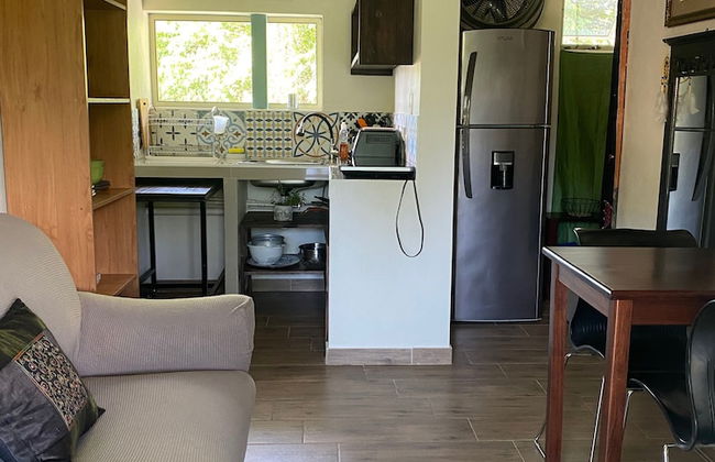 Morning Glory - Foto 21