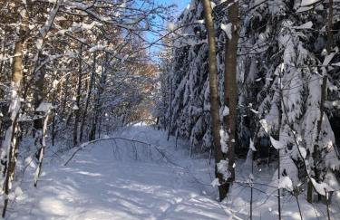 Wichrowe Wzgórze - Foto 20