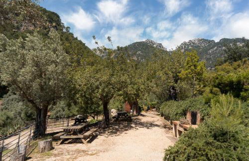 Alfabia Nou Agroturismo - Foto 23