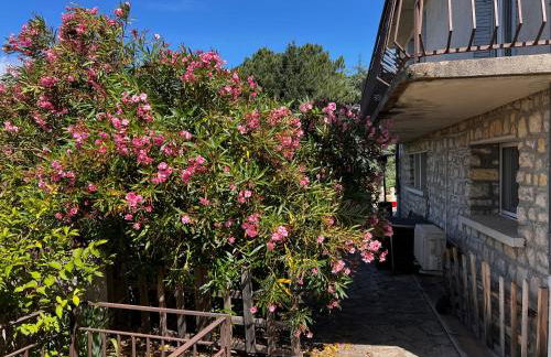 La Lusette-Malaparade - Foto 52