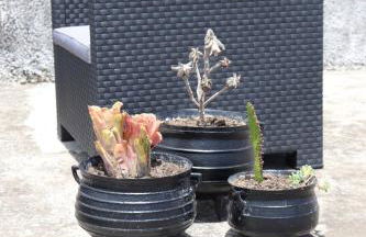 Quinta da Espadana - Photo 45