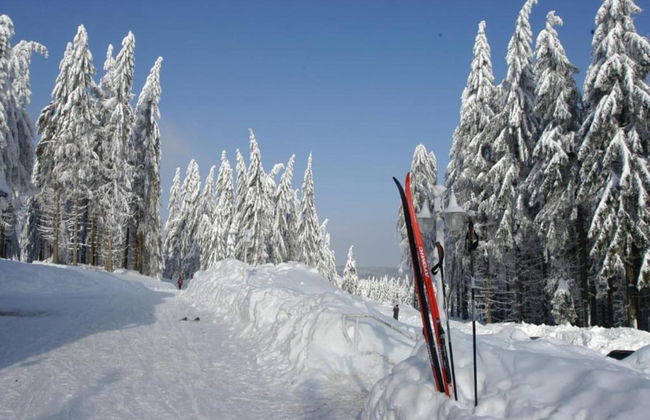 Sunny Terrace & Quiet Stay - Foto 31