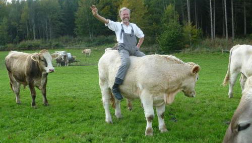 Urlaubshof Bechteler - Foto 5