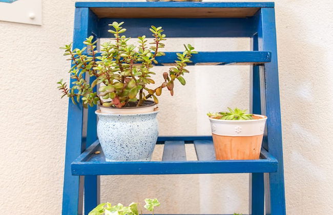 Villa Mili - Photo 79