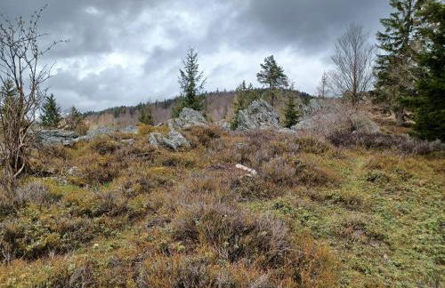 Ferienhaus in der Nähe der Skipiste - Foto 34