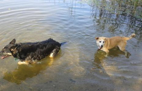 Pod tulipanem nad jeziorem - Foto 77