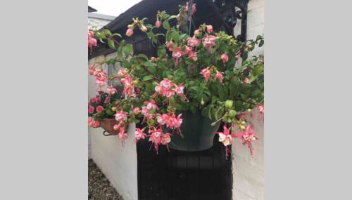 The Nook at West Langton lodge - Foto 4