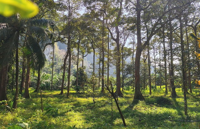 Anawa Krabi - Foto 73