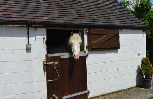 Bottomhouse Barn - Photo 26