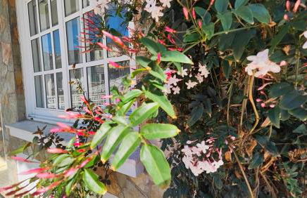 Vila Pombal - Foto 29