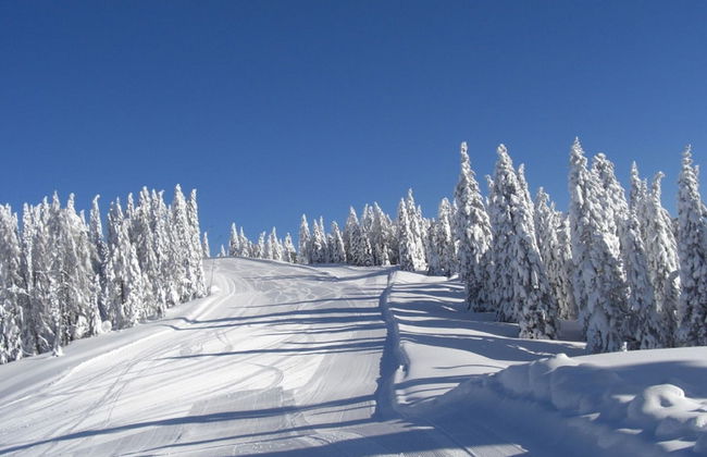 Chalet in Asiago With Alpine Charm - Foto 27