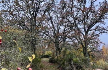 Casa Rural La Cuadraá - Foto 76